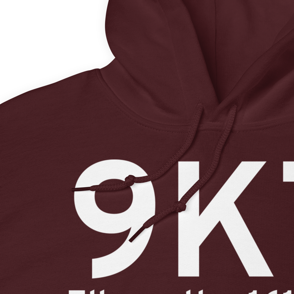 Ellsworth (K9K7) Airport Hoodie Sweatshirt 