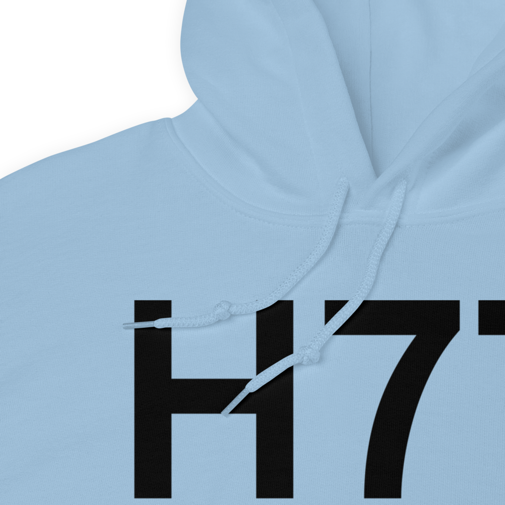 Redding (H77) Airport Hoodie Sweatshirt 
