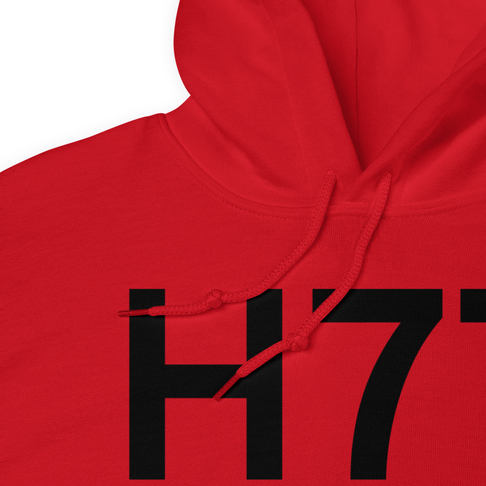 Redding (H77) Airport Hoodie Sweatshirt 