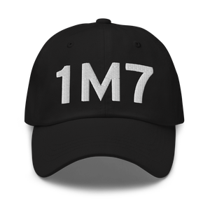 Fulton (1M7) Airport Hat