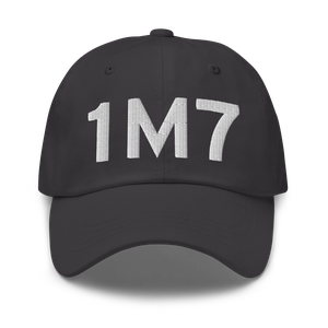 Fulton (1M7) Airport Hat