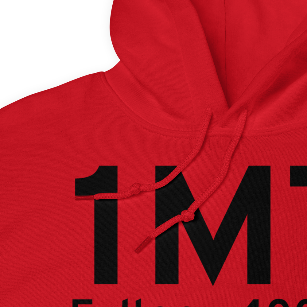Fulton (1M7) Airport Hoodie Sweatshirt 