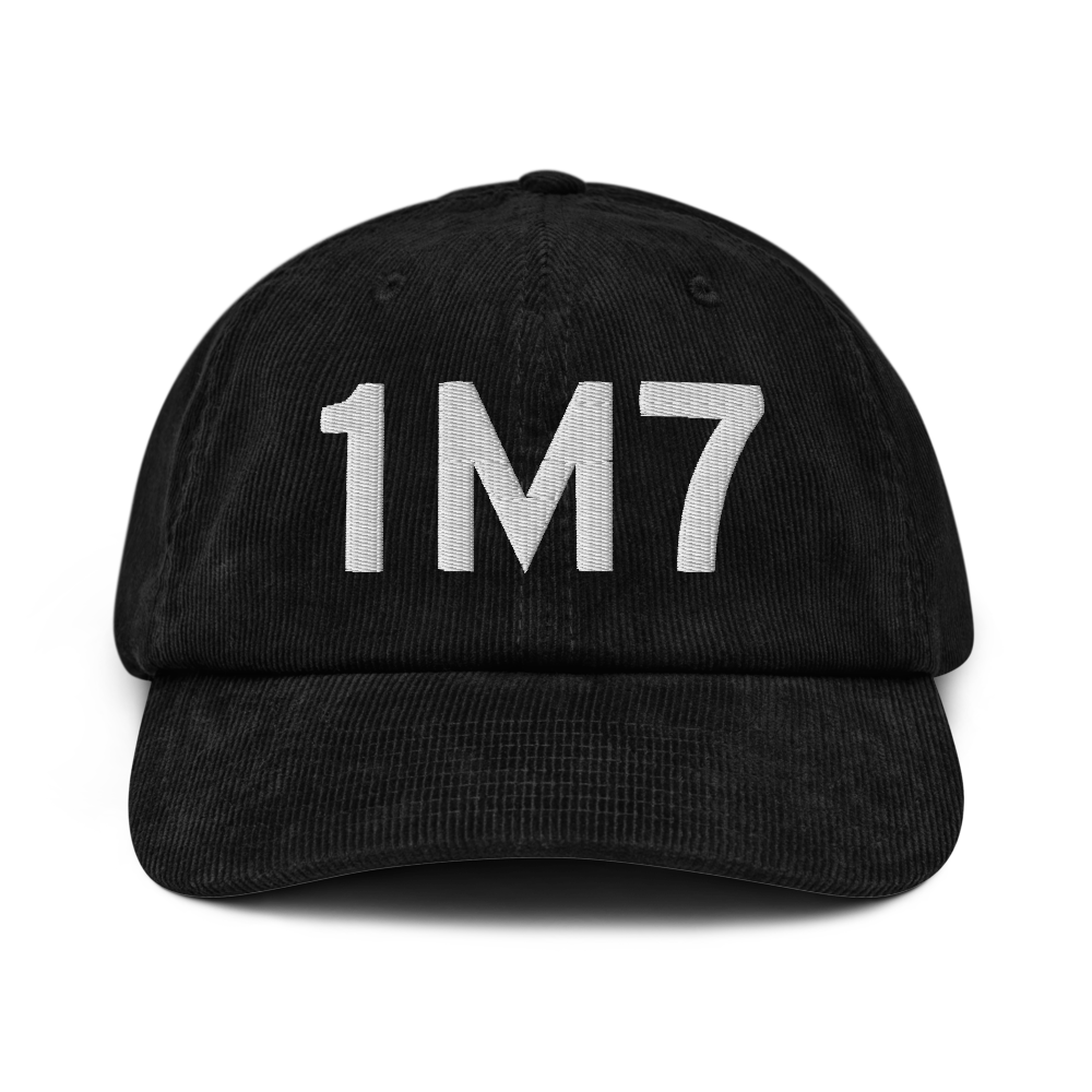 Fulton (1M7) Airport Hat 