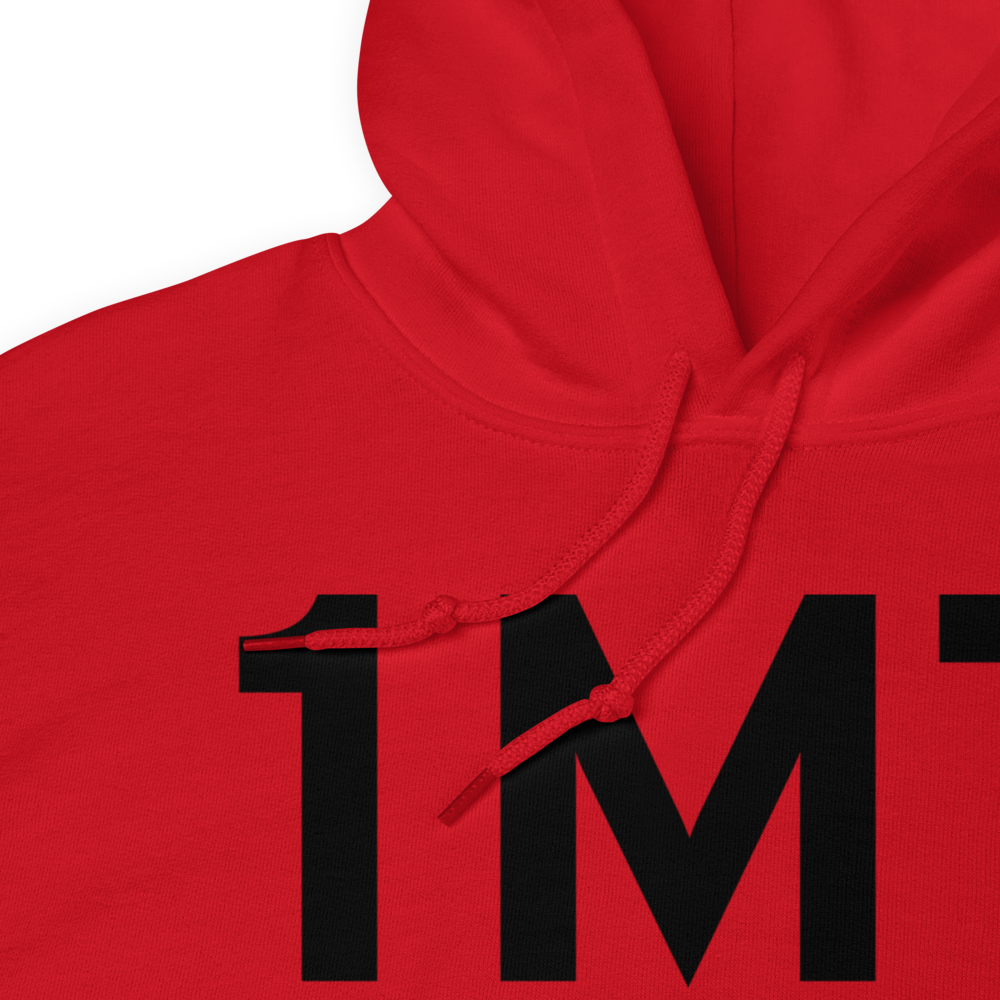 Fulton (1M7) Airport Hoodie Sweatshirt 