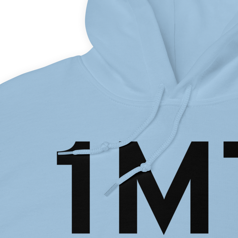 Fulton (1M7) Airport Hoodie Sweatshirt 