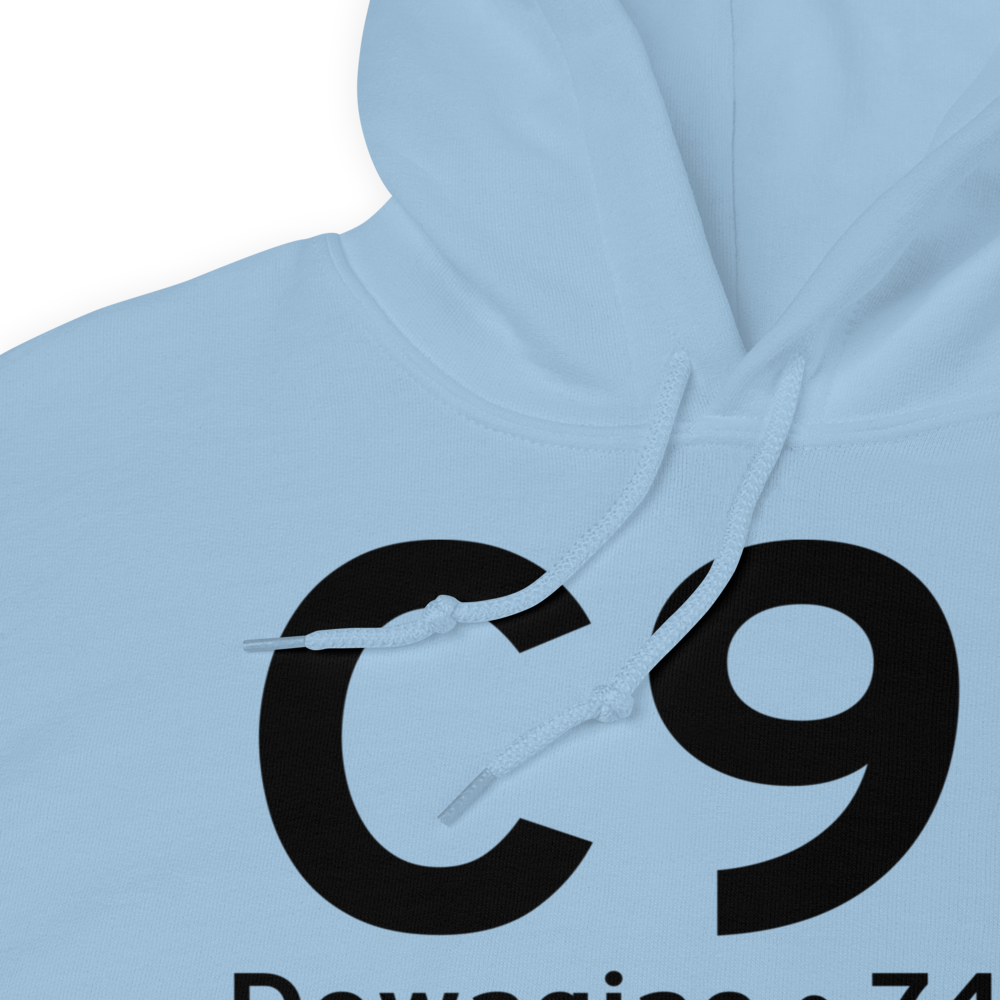 Dowagiac (KC91) Airport Hoodie Sweatshirt 