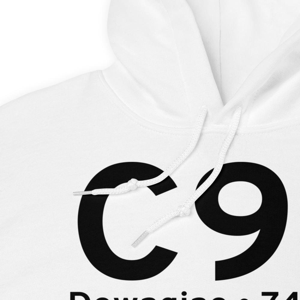 Dowagiac (KC91) Airport Hoodie Sweatshirt 