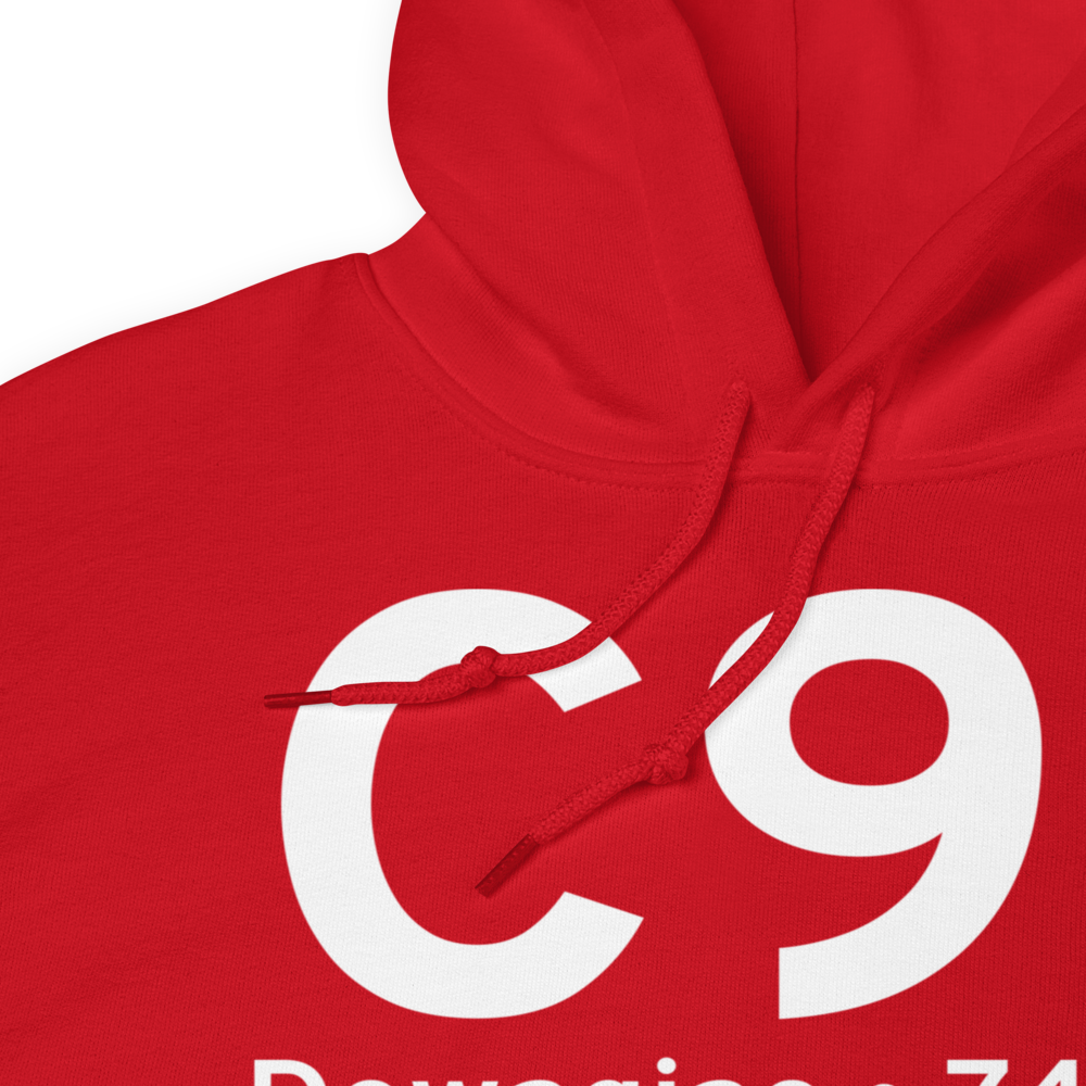 Dowagiac (KC91) Airport Hoodie Sweatshirt 