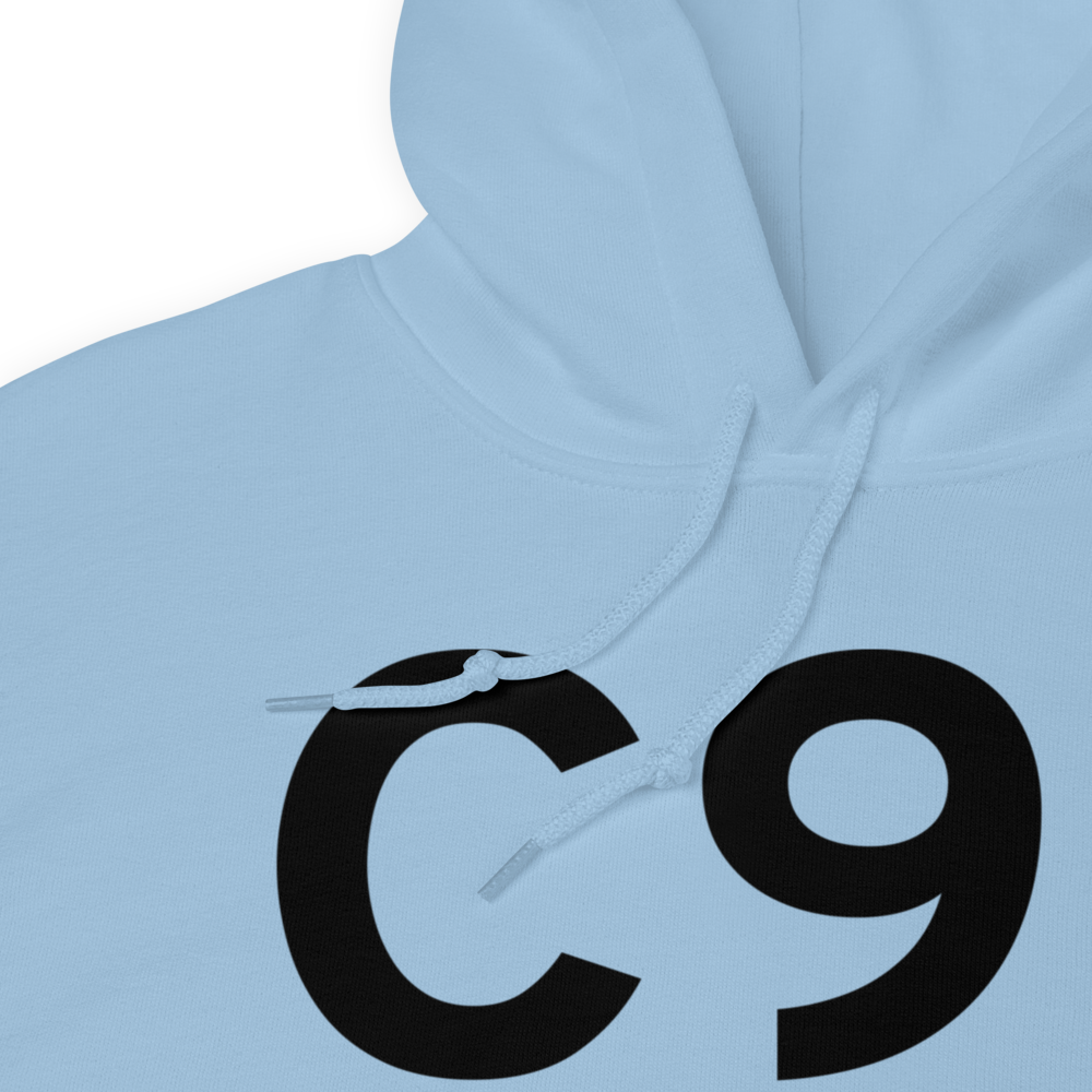 Dowagiac (KC91) Airport Hoodie Sweatshirt 