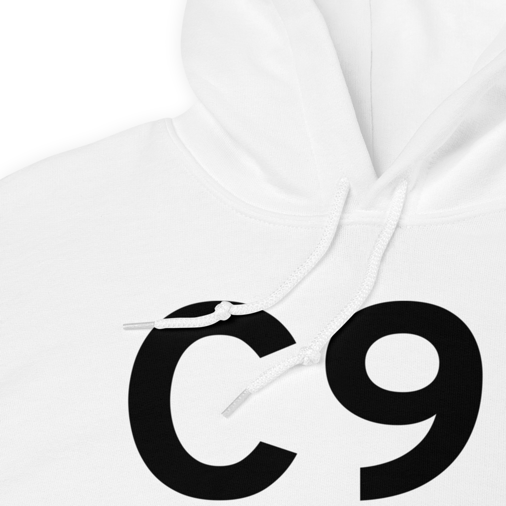 Dowagiac (KC91) Airport Hoodie Sweatshirt 