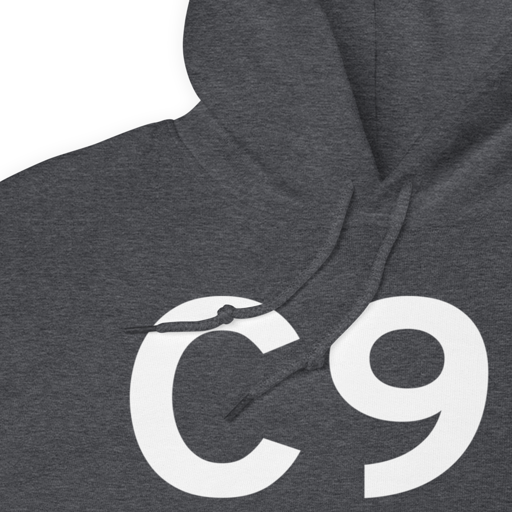 Dowagiac (KC91) Airport Hoodie Sweatshirt 