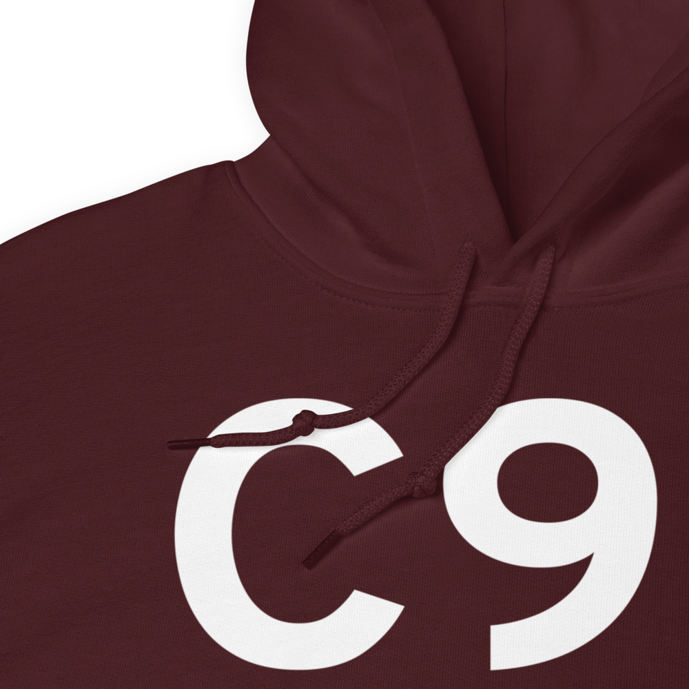 Dowagiac (KC91) Airport Hoodie Sweatshirt 