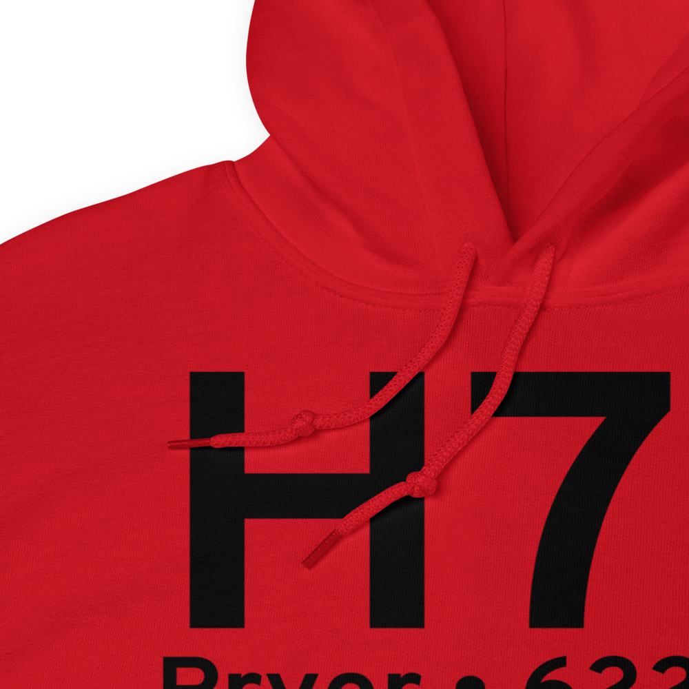 Pryor (KH71) Airport Hoodie Sweatshirt 