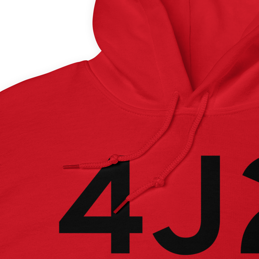 Nashville (K4J2) Airport Hoodie Sweatshirt 