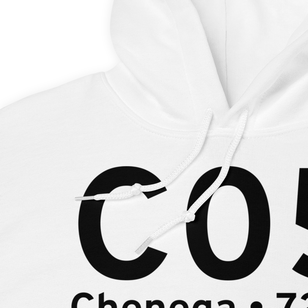Chenega (PFCB) Airport Hoodie Sweatshirt 