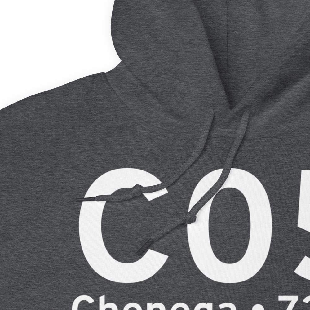 Chenega (PFCB) Airport Hoodie Sweatshirt 
