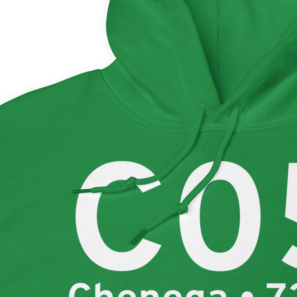 Chenega (PFCB) Airport Hoodie Sweatshirt 