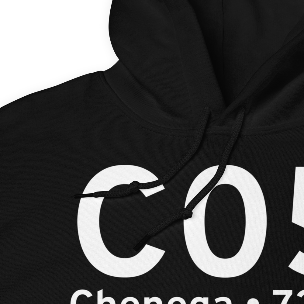 Chenega (PFCB) Airport Hoodie Sweatshirt 
