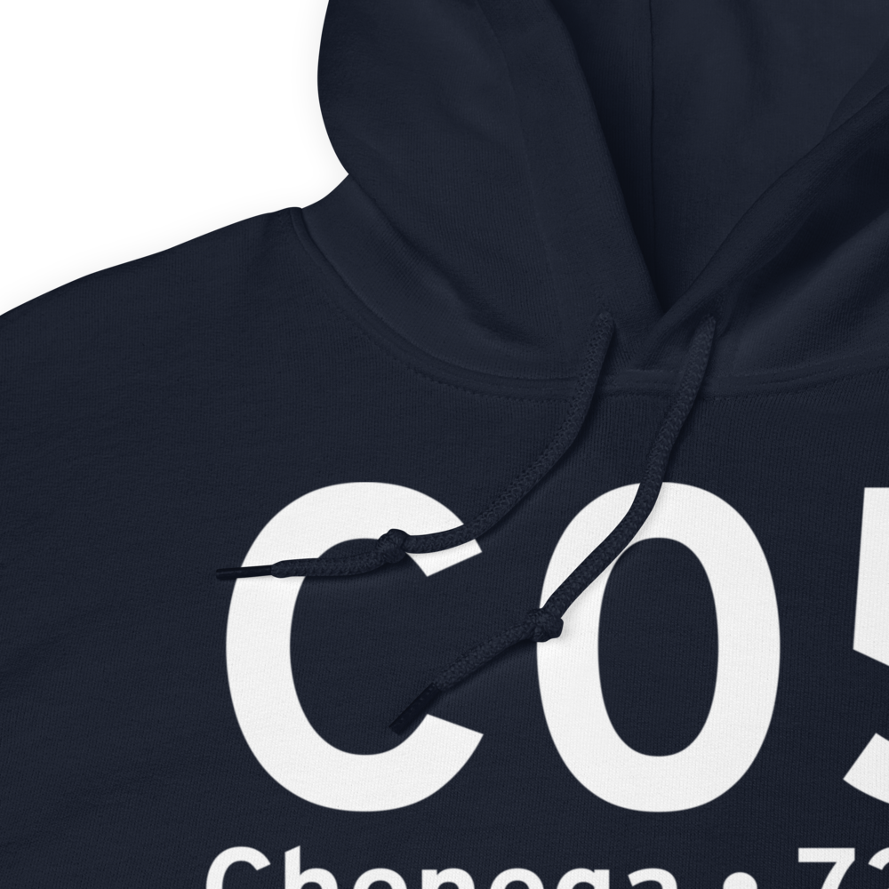 Chenega (PFCB) Airport Hoodie Sweatshirt 