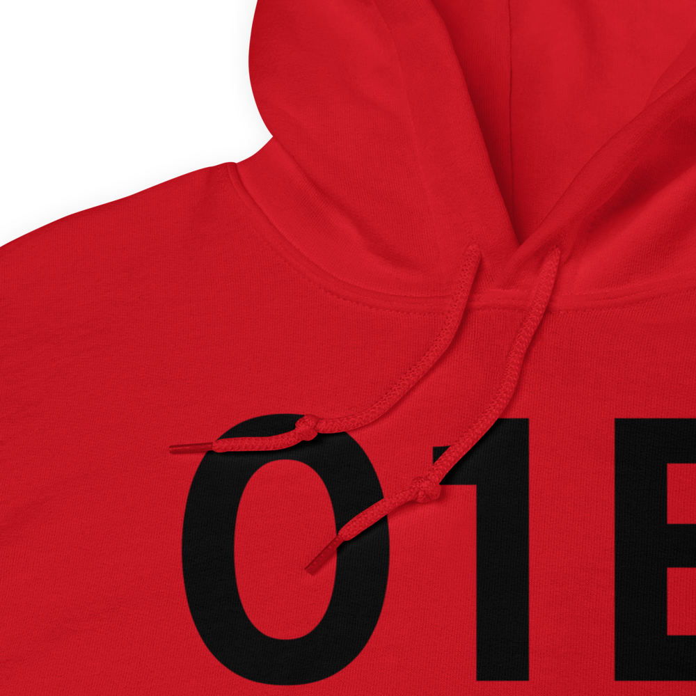 Warsaw (IN16) Airport Hoodie Sweatshirt 