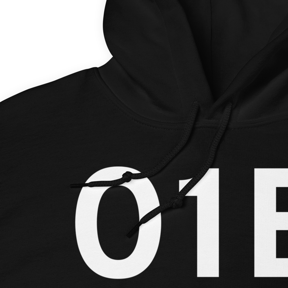 Warsaw (IN16) Airport Hoodie Sweatshirt 