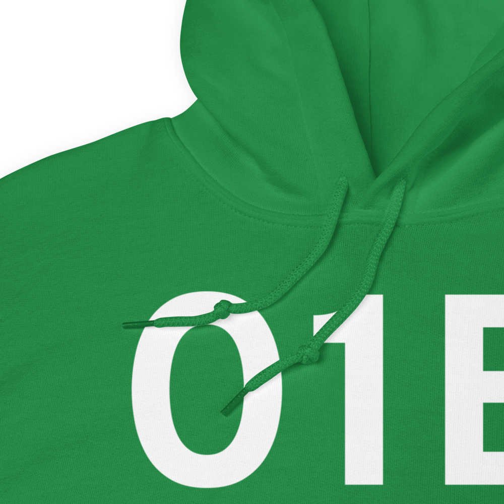 Warsaw (IN16) Airport Hoodie Sweatshirt 