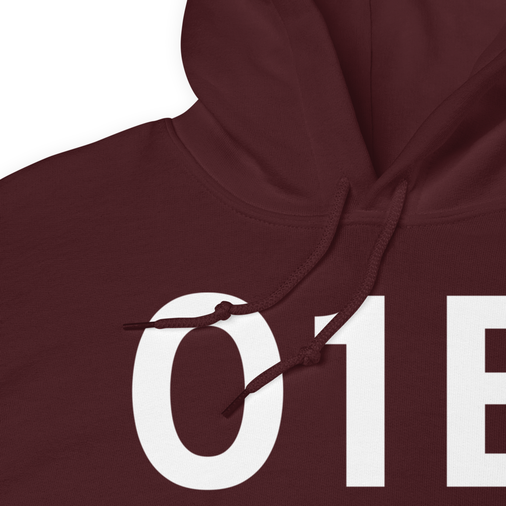 Warsaw (IN16) Airport Hoodie Sweatshirt 