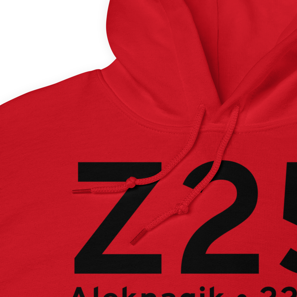 Aleknagik (Z25) Airport Hoodie Sweatshirt 