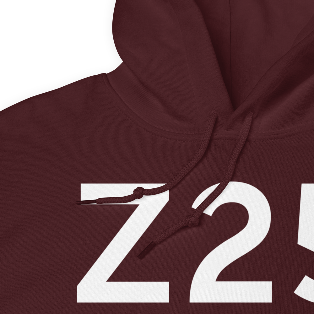 Aleknagik (Z25) Airport Hoodie Sweatshirt 