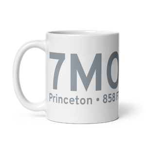 Princeton (7MO) Airport Mug