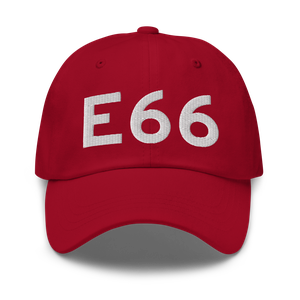 Fowlerville (E66) Airport Hat