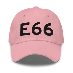 Fowlerville (E66) Airport Hat