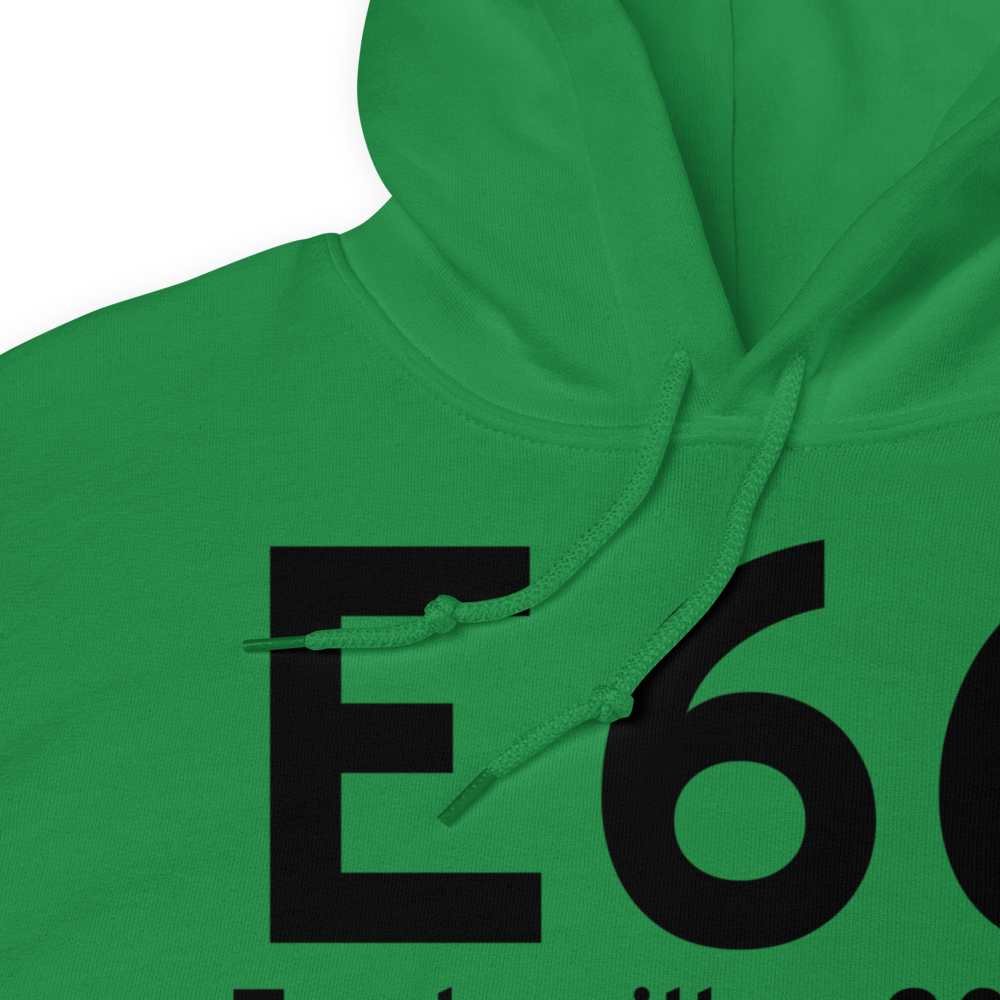 Fowlerville (E66) Airport Hoodie Sweatshirt 