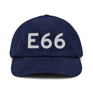 Fowlerville (E66) Airport Hat