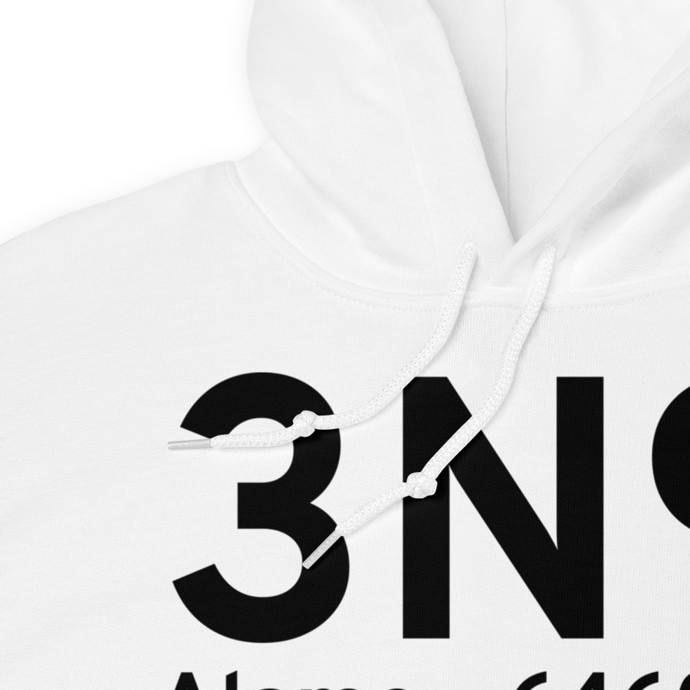 Alamo (3N9) Airport Hoodie Sweatshirt 