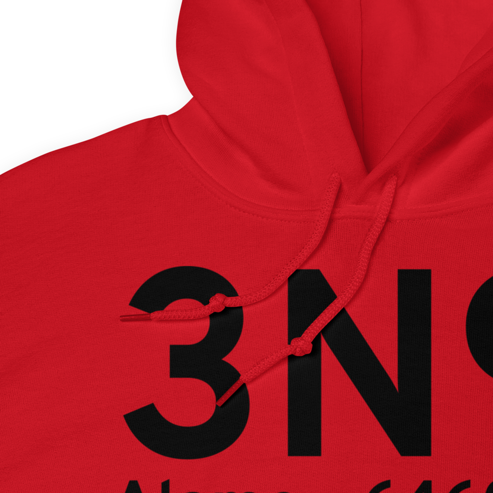 Alamo (3N9) Airport Hoodie Sweatshirt 