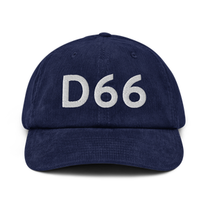 Delta Junction (D66) Airport Hat