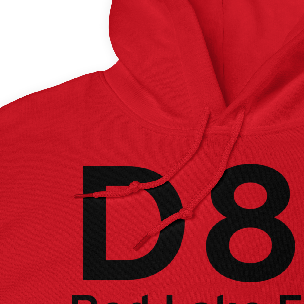 Red Lake Falls (D81) Airport Hoodie Sweatshirt 
