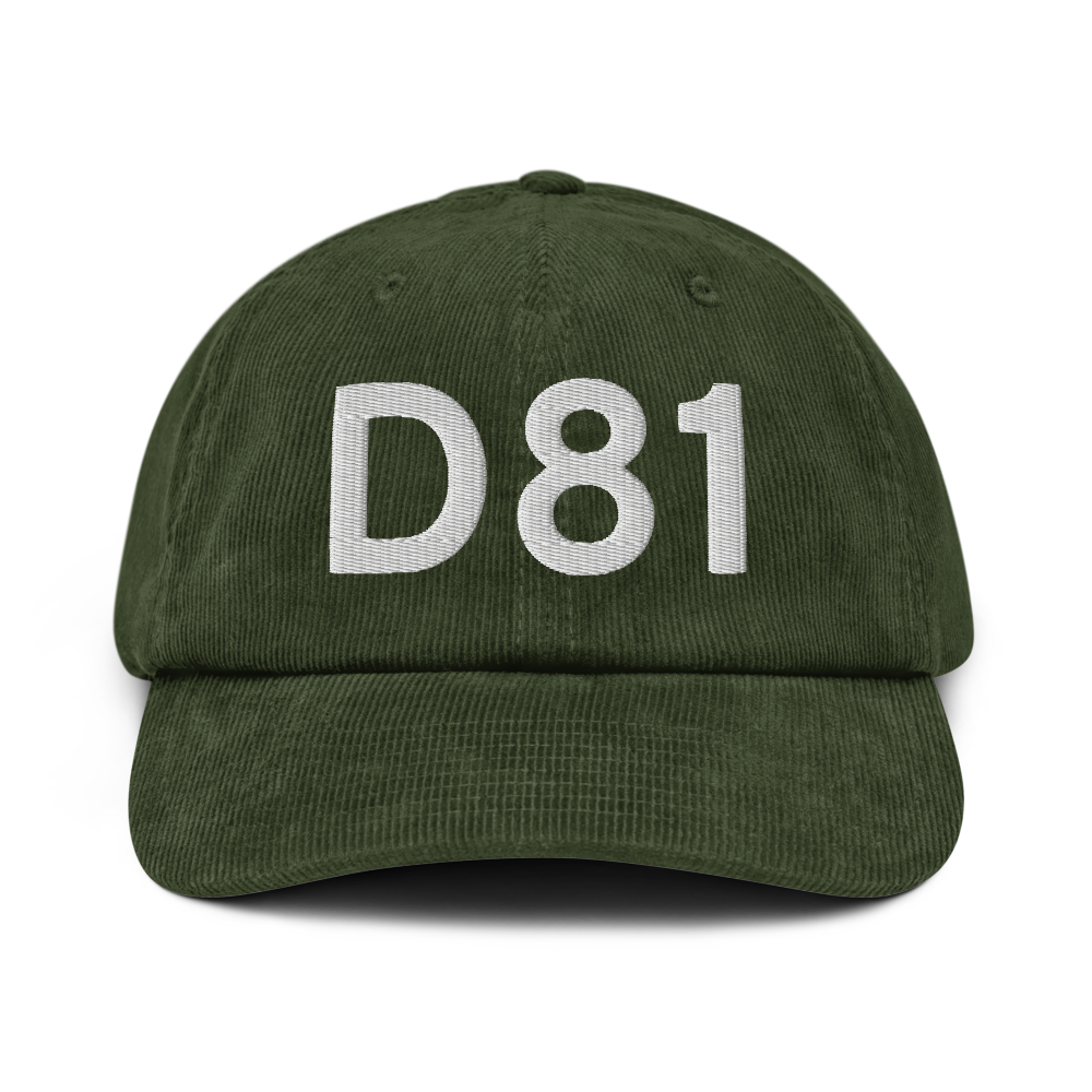 Red Lake Falls (D81) Airport Hat 