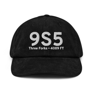 Three Forks (K9S5) Airport Hat