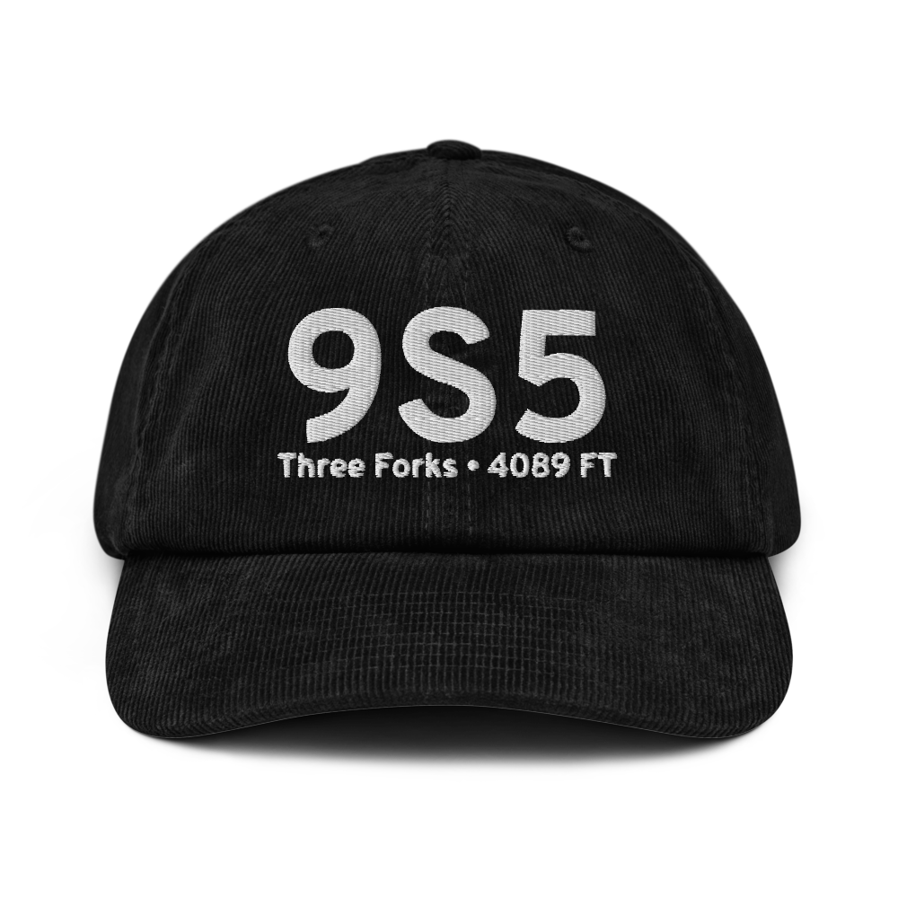 Three Forks (K9S5) Airport Hat 