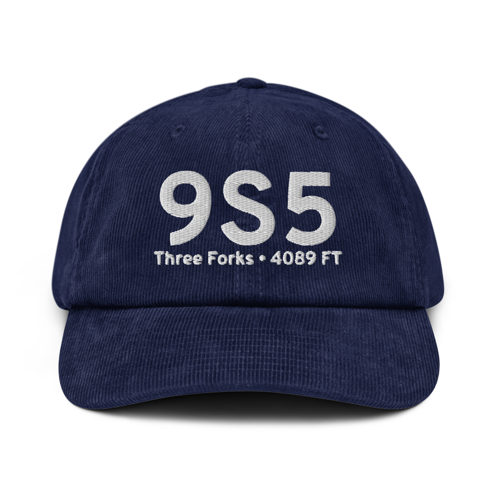 Three Forks (K9S5) Airport Hat 