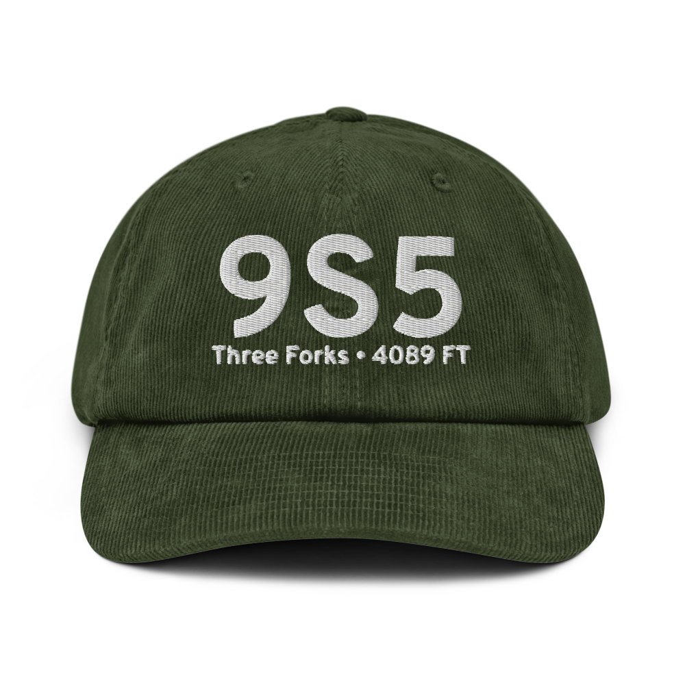 Three Forks (K9S5) Airport Hat 