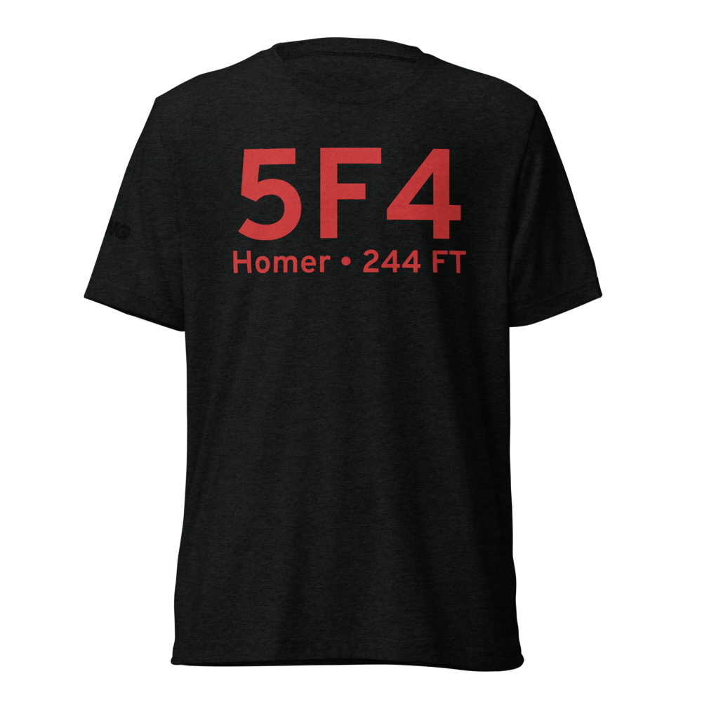 Homer (K5F4) Airport Tri-blend T-Shirt 