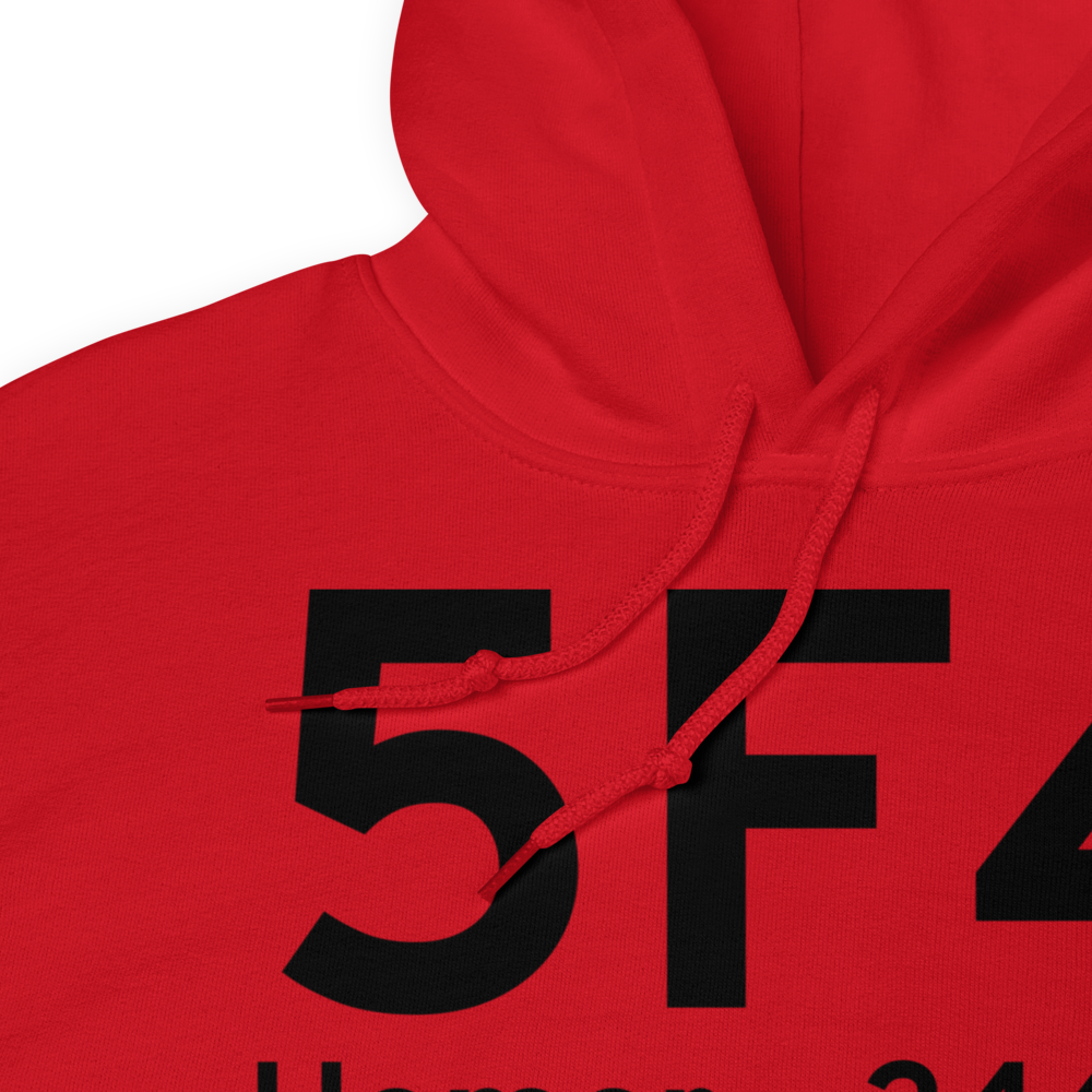 Homer (K5F4) Airport Hoodie Sweatshirt 