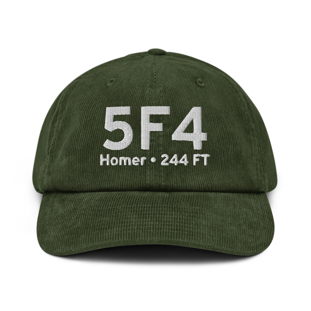 Homer (K5F4) Airport Hat 