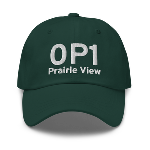 Prairie View (0P1) Airport Hat