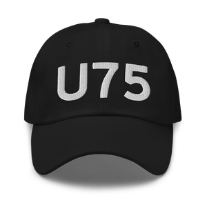 Amargosa Valley (LTH) Airport Hat