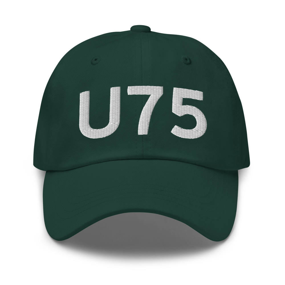 Amargosa Valley (LTH) Airport Hat 