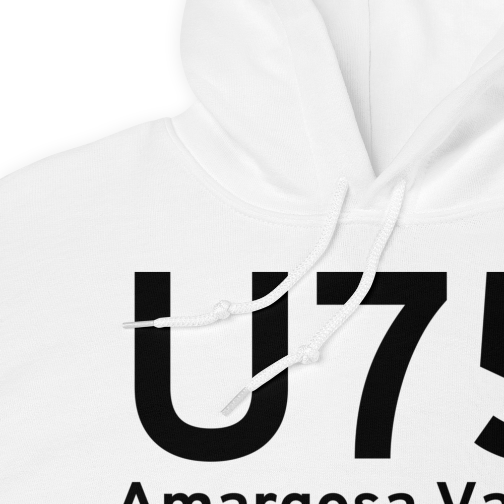 Amargosa Valley (LTH) Airport Hoodie Sweatshirt 